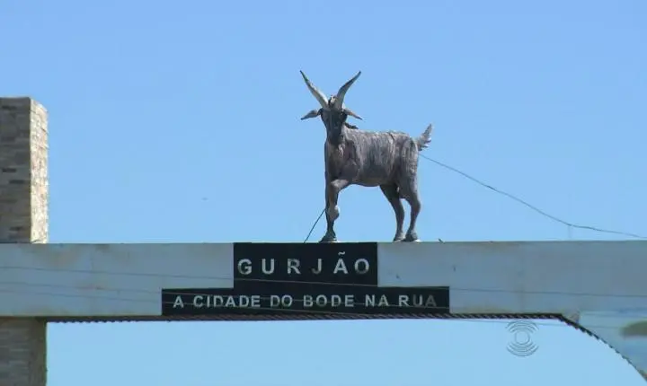 Ataque hacker derruba o site oficial da Prefeitura de Gurjão nesta segunda